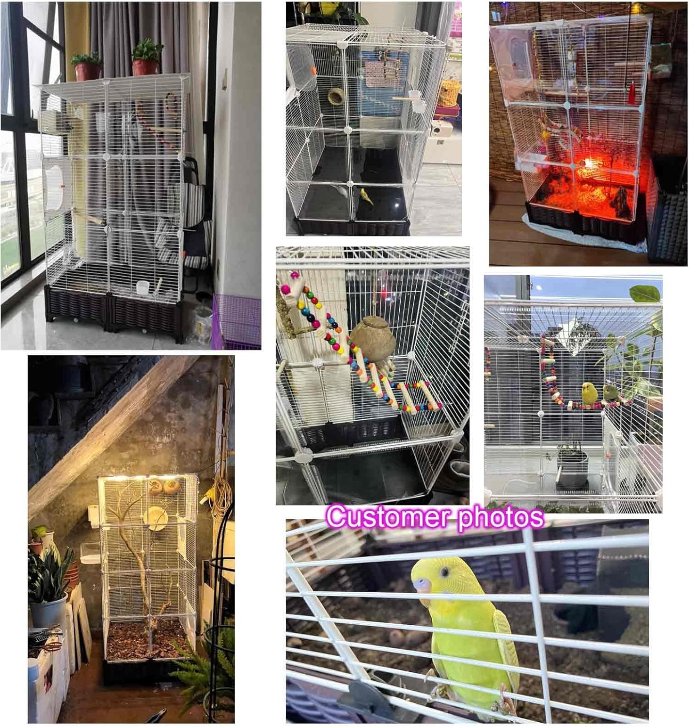 Acrylic Bird Cage, Canary Bird Cage, Birdcages for Budgies, Highly Transparent, Horizontal Wire Mesh, 9-Piece Set